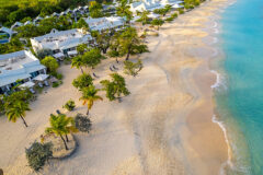 Spice Island 1