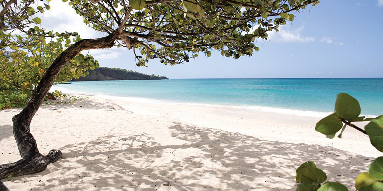Spice Island 7