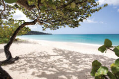 Spice Island 7