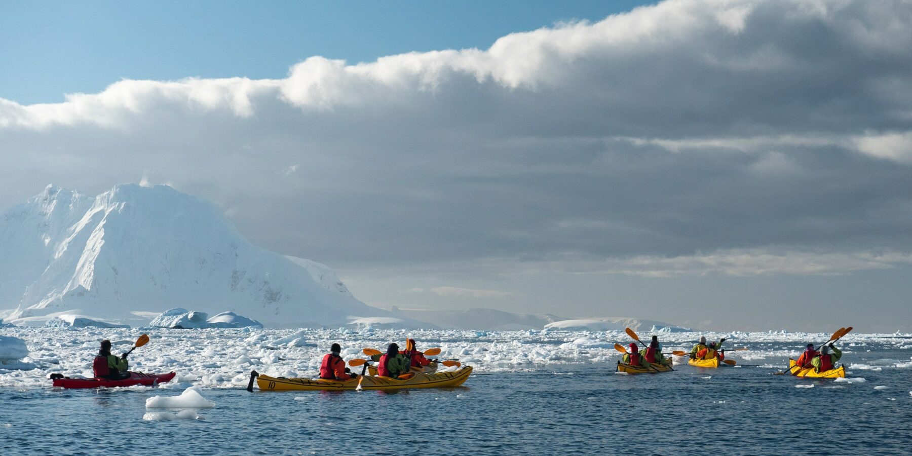 SSC_Cuverville Island_01