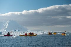 SSC_Cuverville Island_01