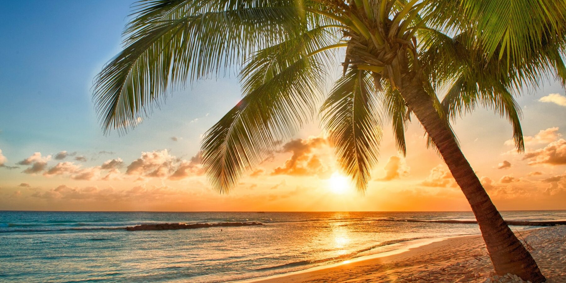 SUNSET shutterstock_2002903481
