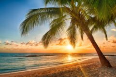 SUNSET shutterstock_2002903481