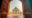 sylwia-bartyzel-eU4pipU_8HA-unsplash