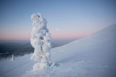 taneli-kantanen-p09FfwUjAH8-unsplash