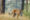 tapan-kumar-choudhury-Cj8LU2T4Rs8-unsplash