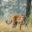 tapan-kumar-choudhury-Cj8LU2T4Rs8-unsplash