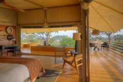 tented suite at Serengeti Bushtops