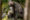 thomas-lipke-KCyLa5xkoic-unsplash