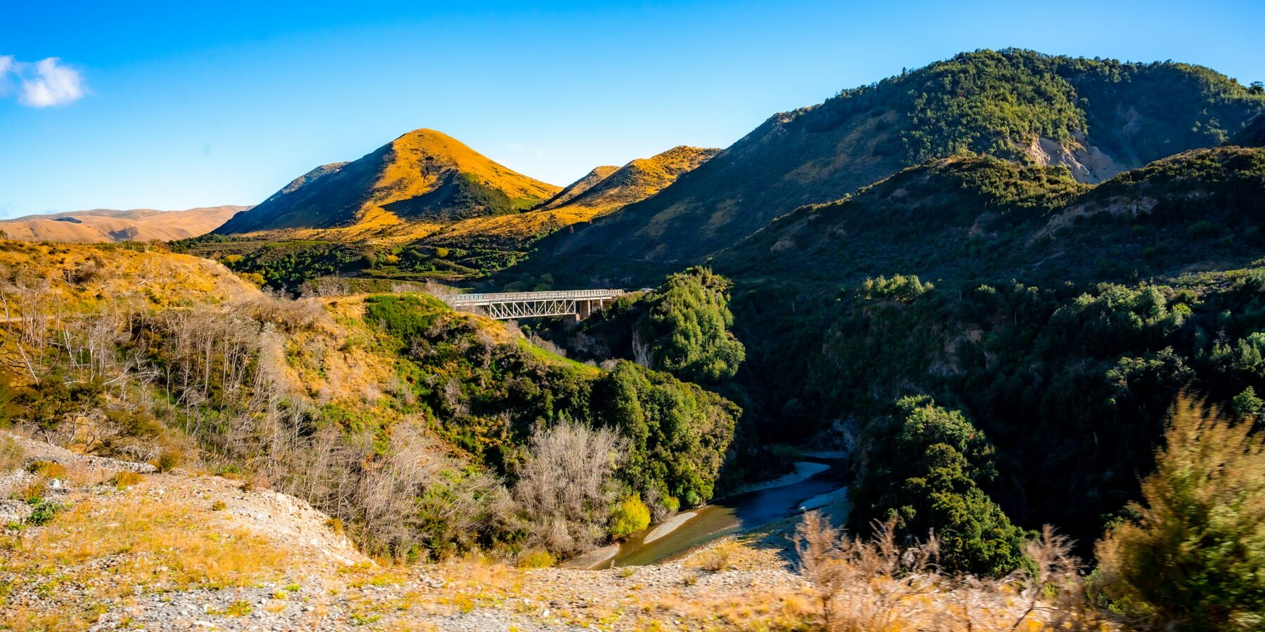 TRANZALPINE TRAIN 1 shutterstock_1962380842
