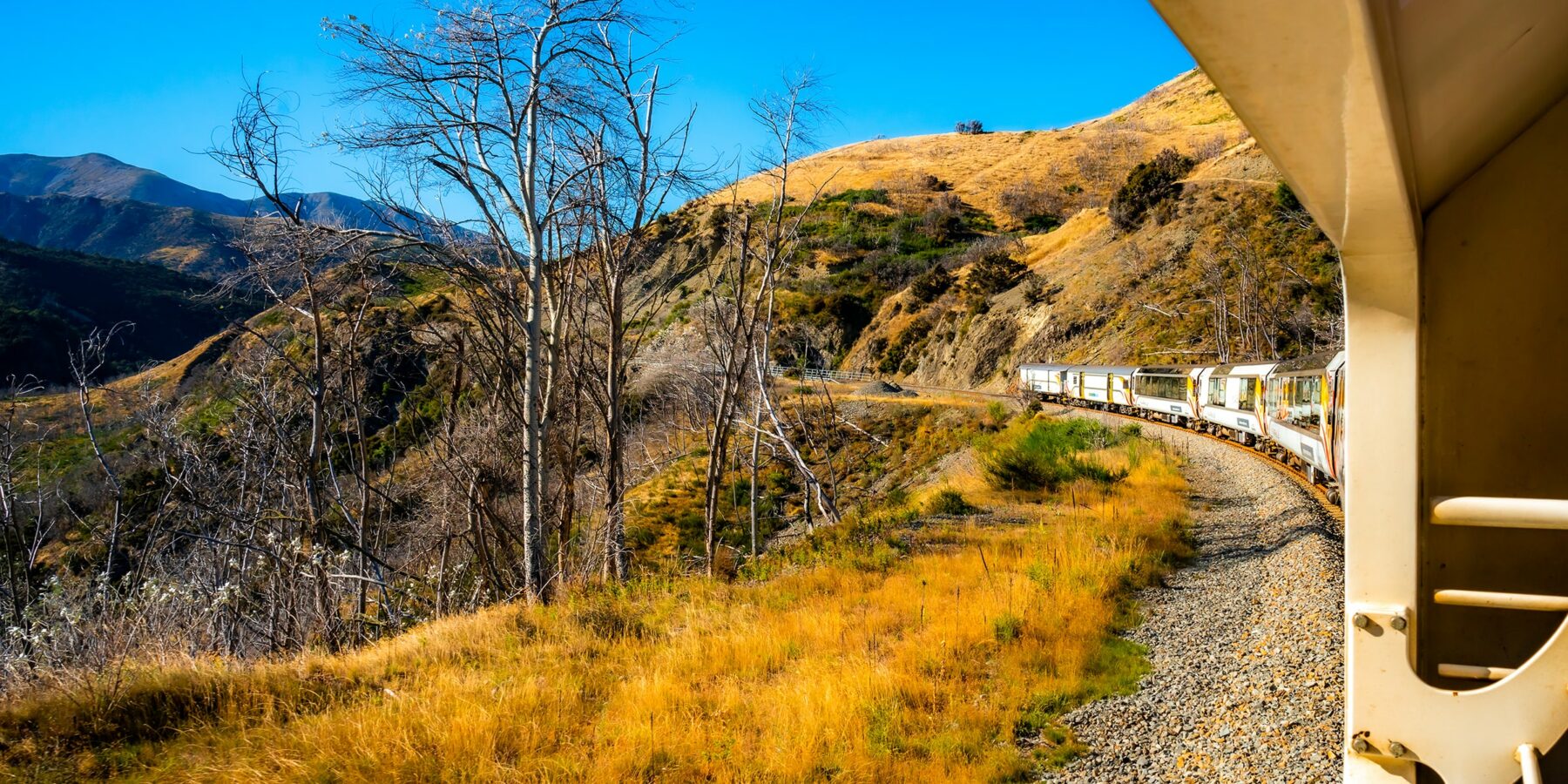 TRANZALPINE TRAIN 2 shutterstock_1962380836