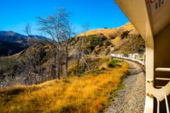 TRANZALPINE TRAIN 2 shutterstock_1962380836
