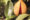 tyler-gooding-SVfGD1QJ5jA-unsplash