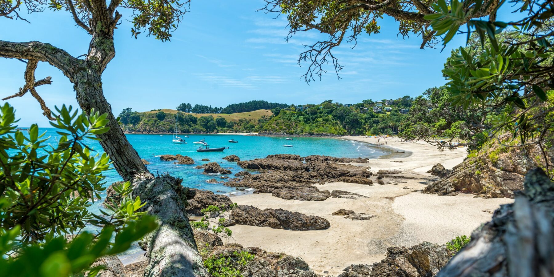 WAIKEKE ISLAND 2 shutterstock_172737050