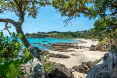WAIKEKE ISLAND 2 shutterstock_172737050