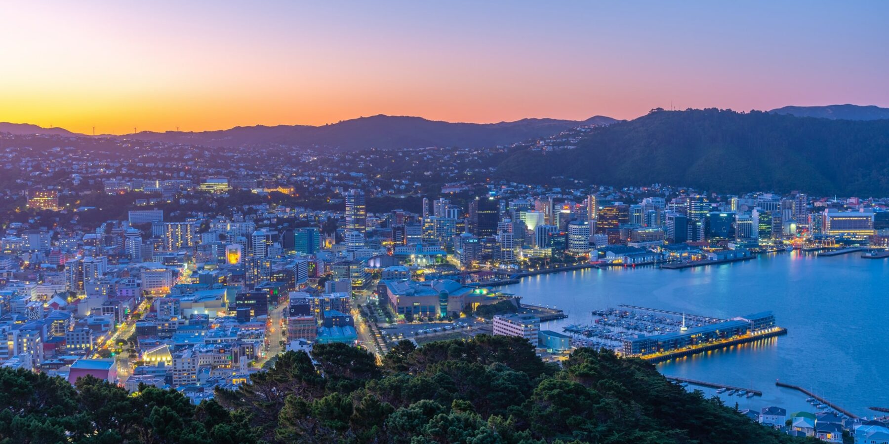WELLINGTON shutterstock_2094578143
