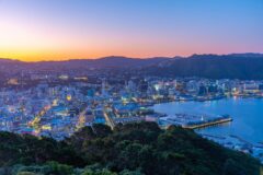 WELLINGTON shutterstock_2094578143
