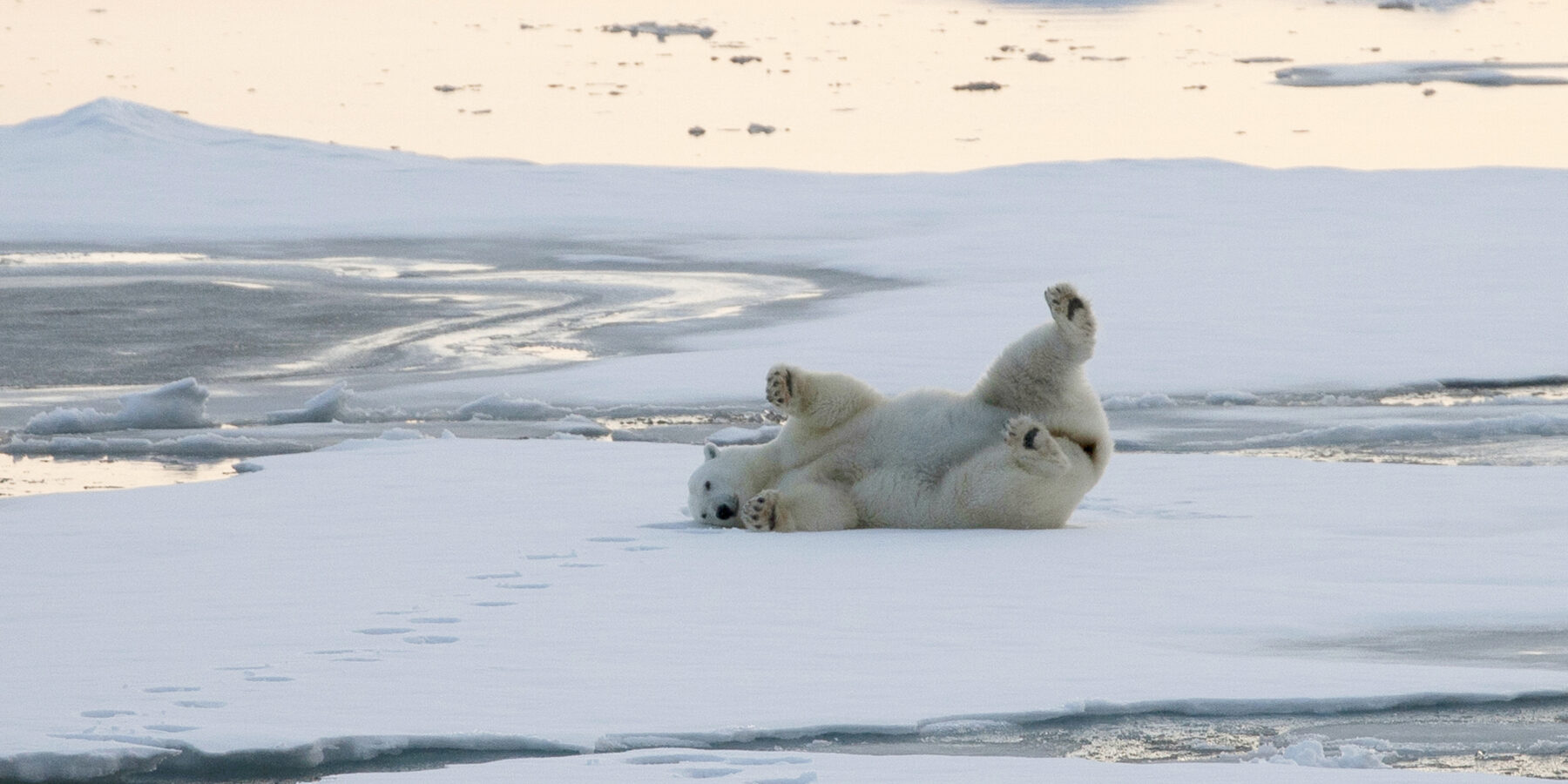 WESTERN 1 Smeerenburg_Svalbard_HX_26144credit Lise Driestel