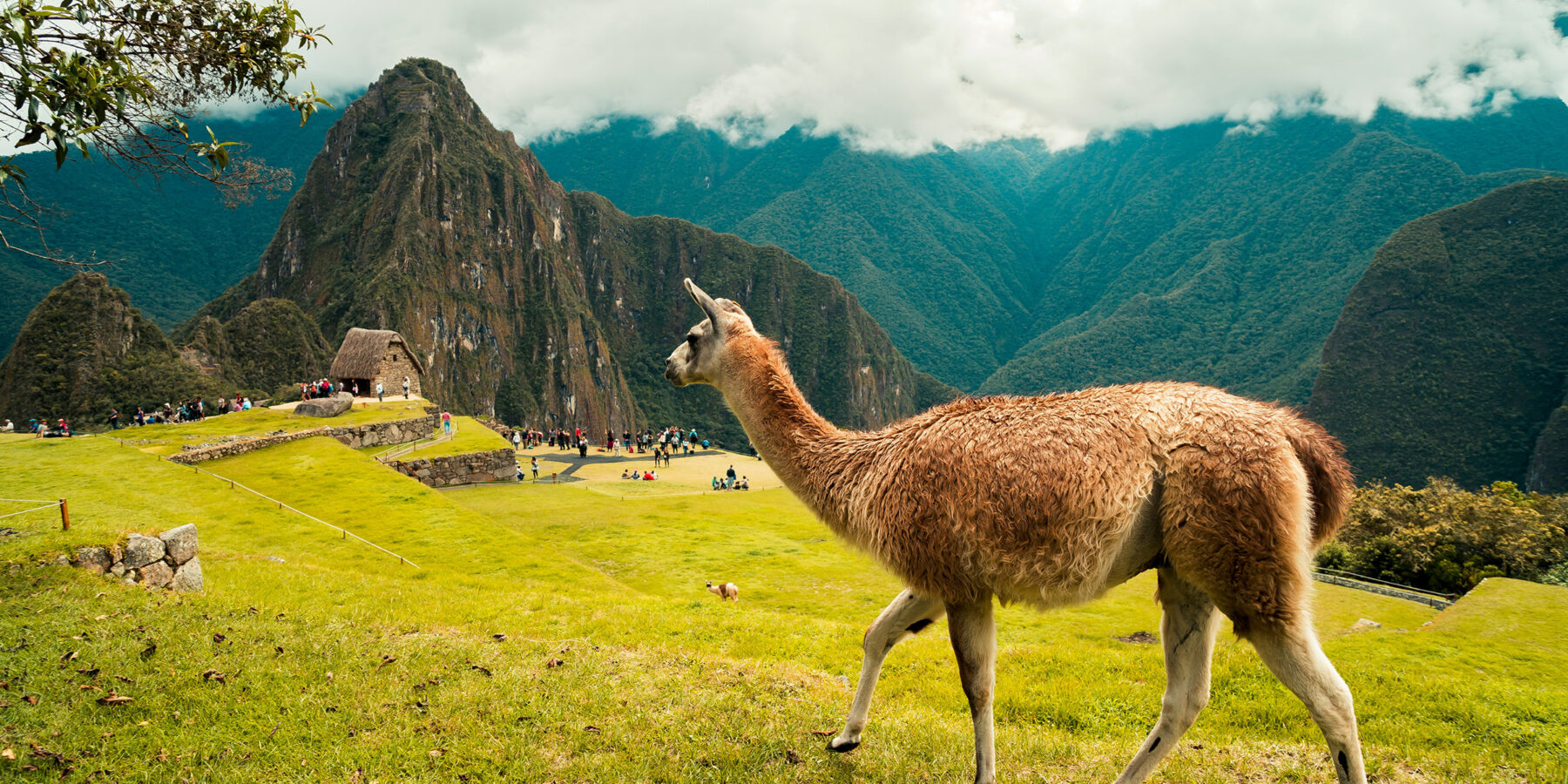 willian-justen-de-vasconcellos-ulUnRNuC_ok-unsplash