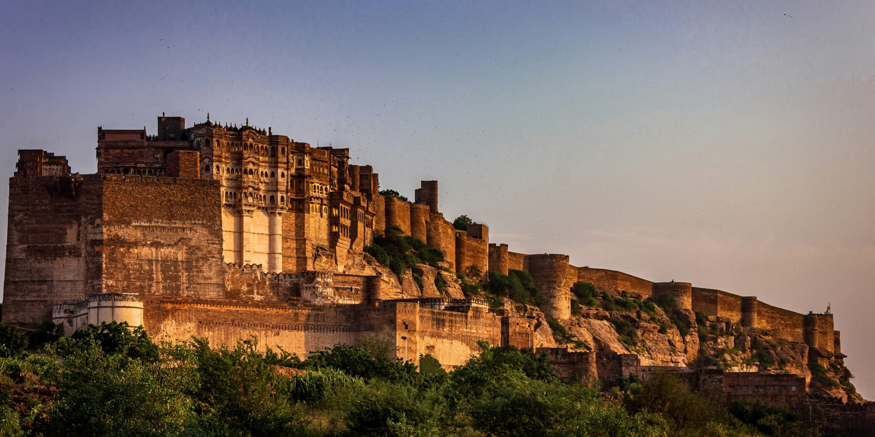 yash-raut-gaBGuYY0xKg-unsplash