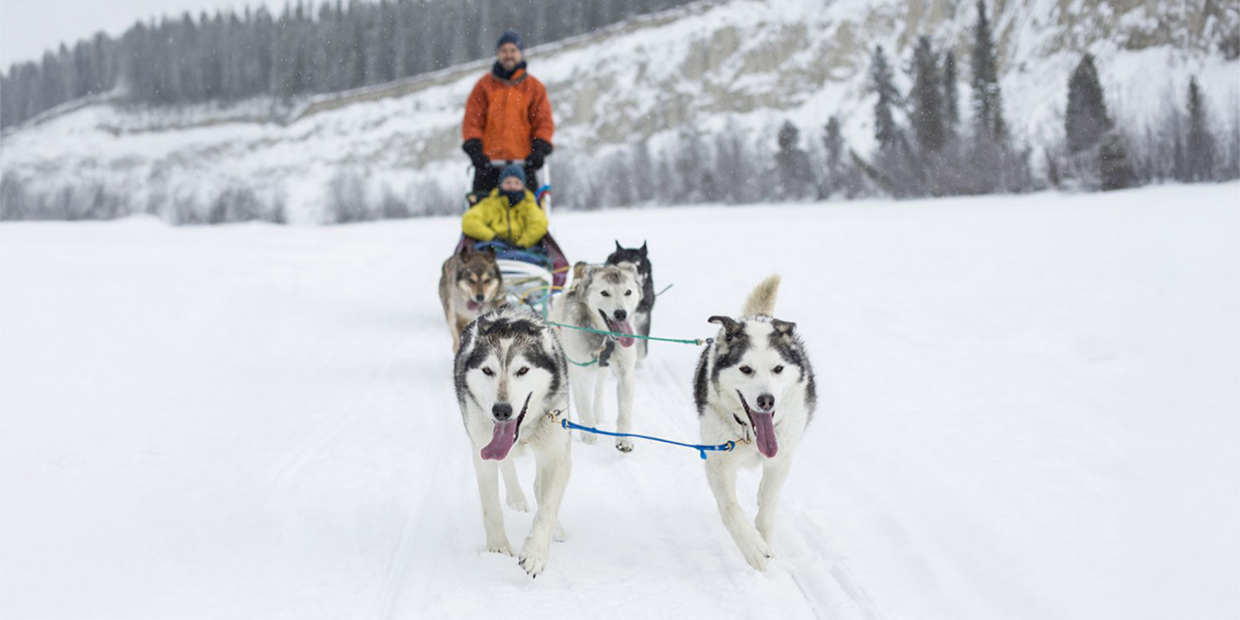Dog sledding from Canada Specialist Programme
